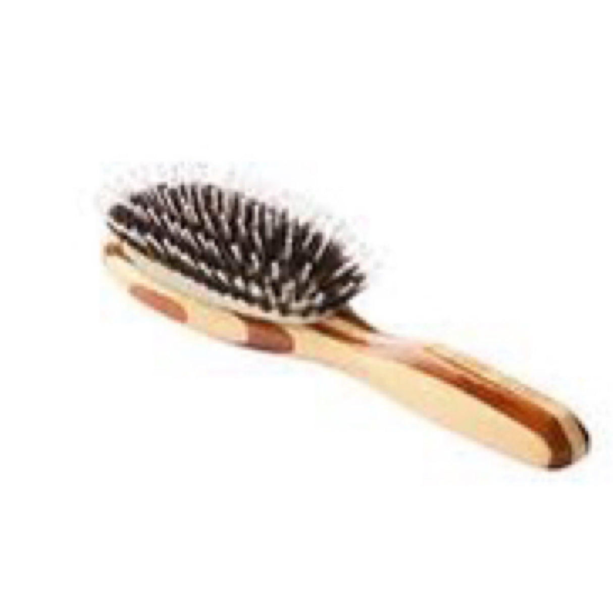 Bass Brushes Shine & Condition