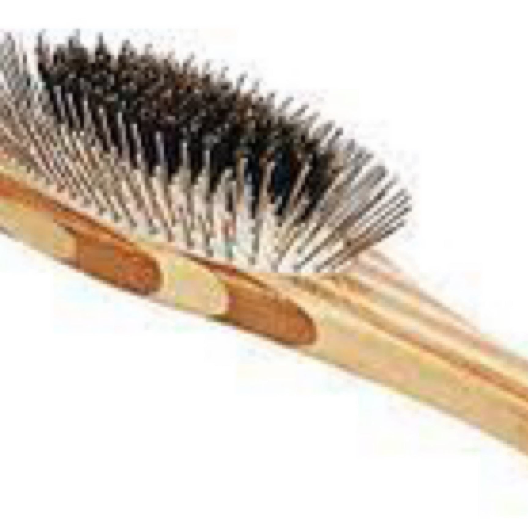 Bass Brushes The Green Brush