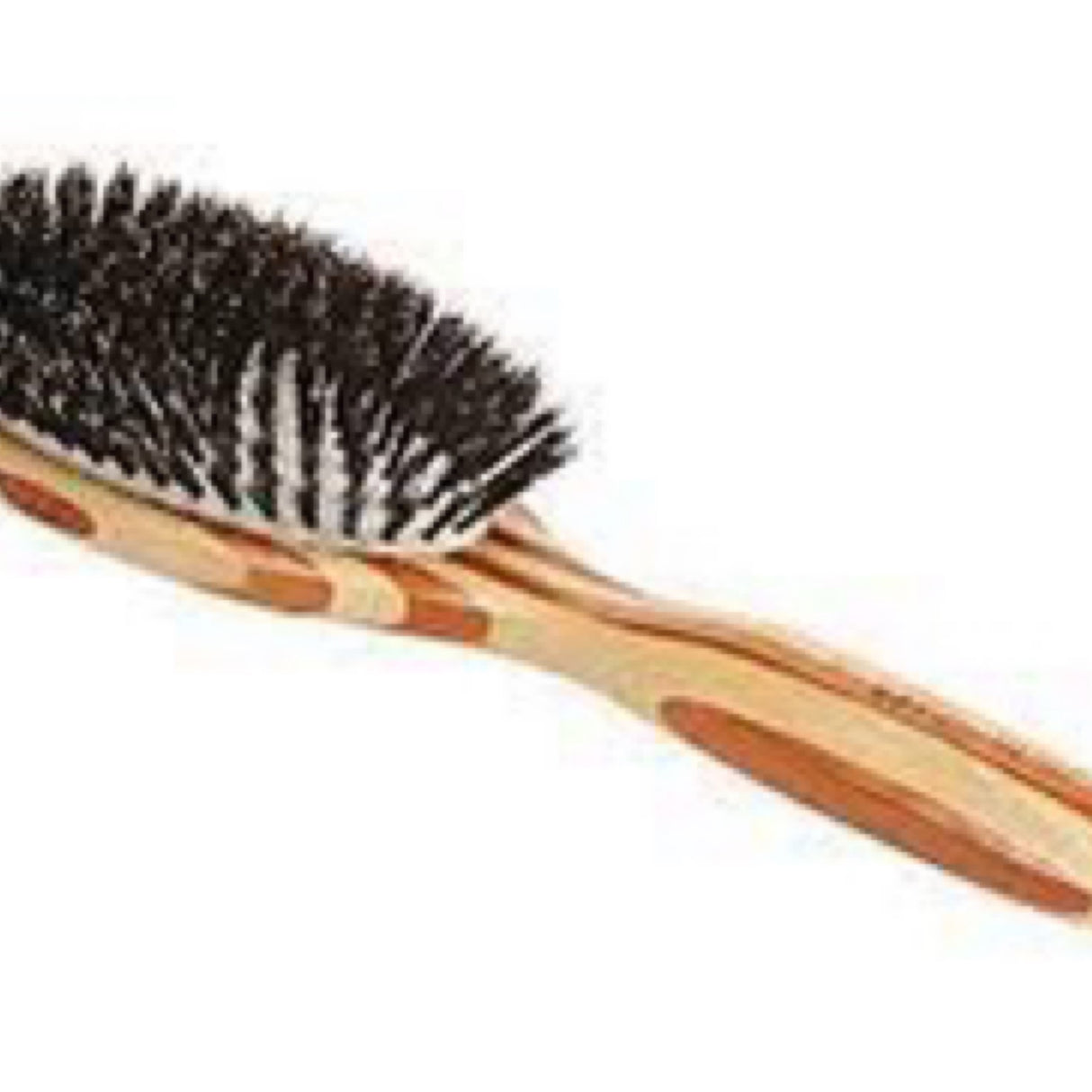 Bass Brushes Shine & Condition