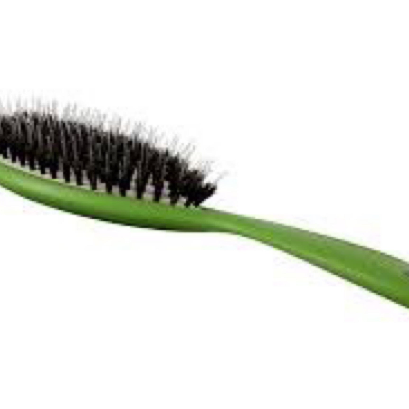 Bass Brushes Bioflex Shine