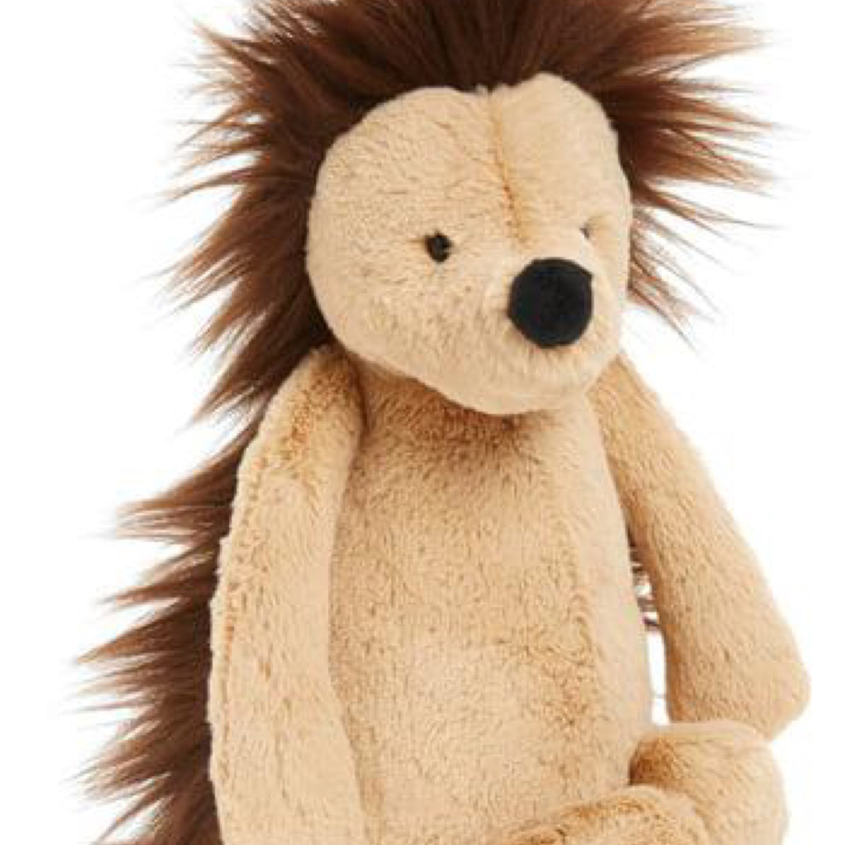 Jellycat Medium Bashful Hedgehog