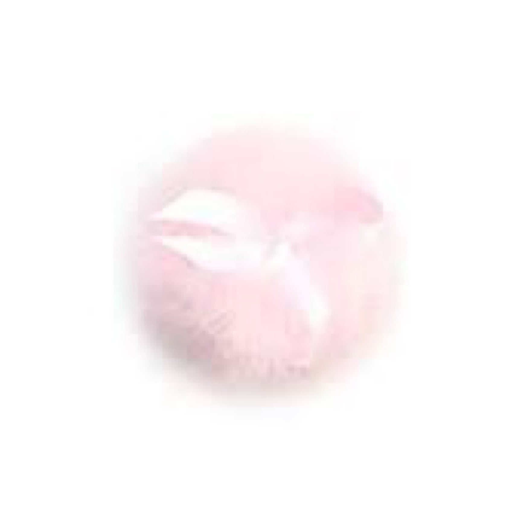 La Fee down powder puff