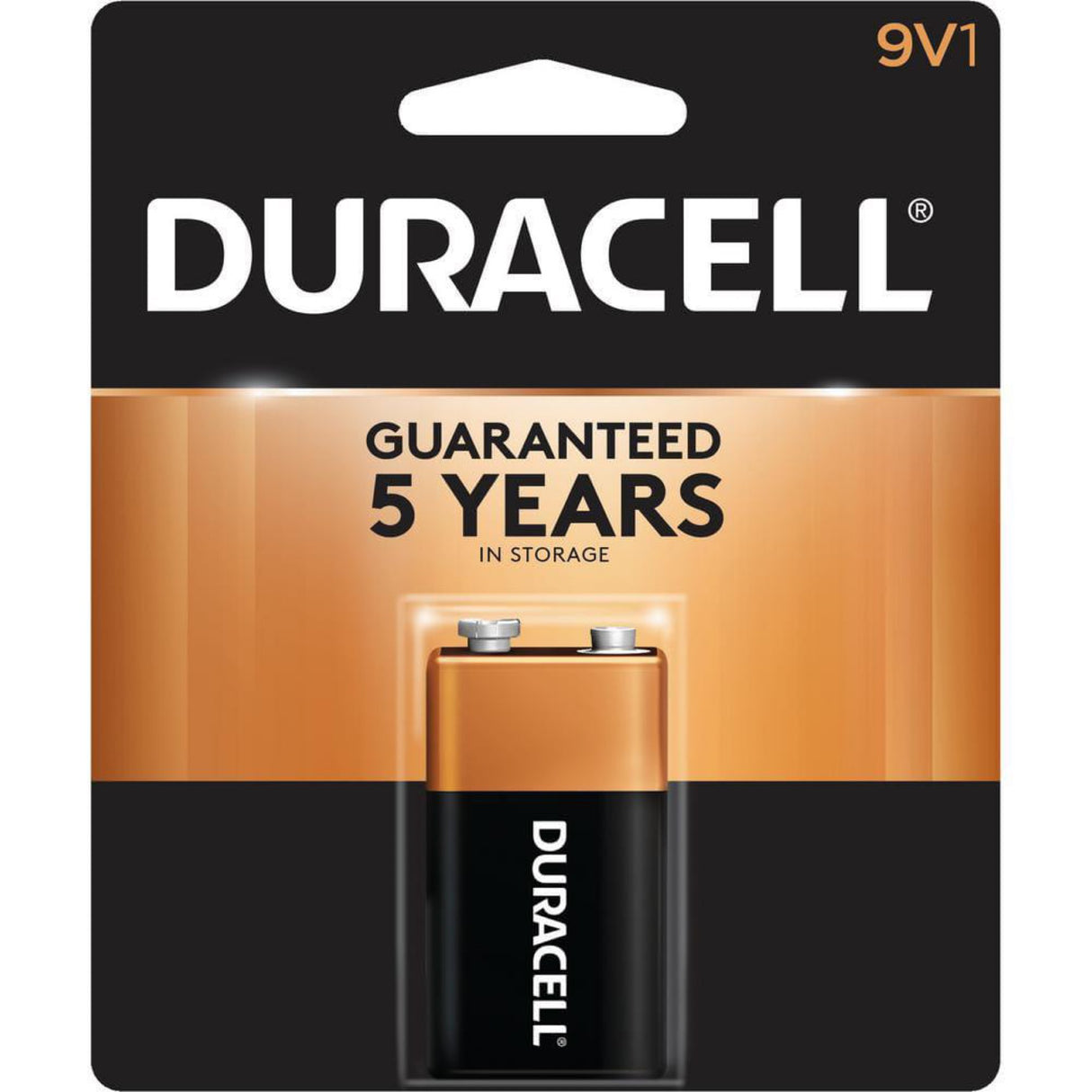 Duracell Coppertop 9V Alkaline Battery 1 Each