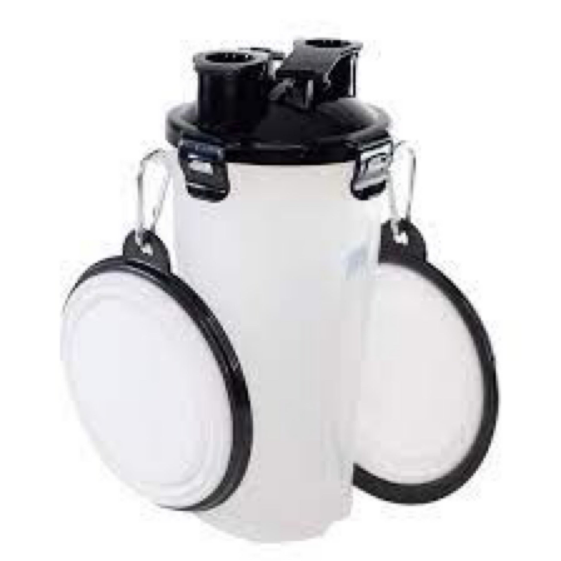 Doggie Duo for the Mad Man's Best Friend