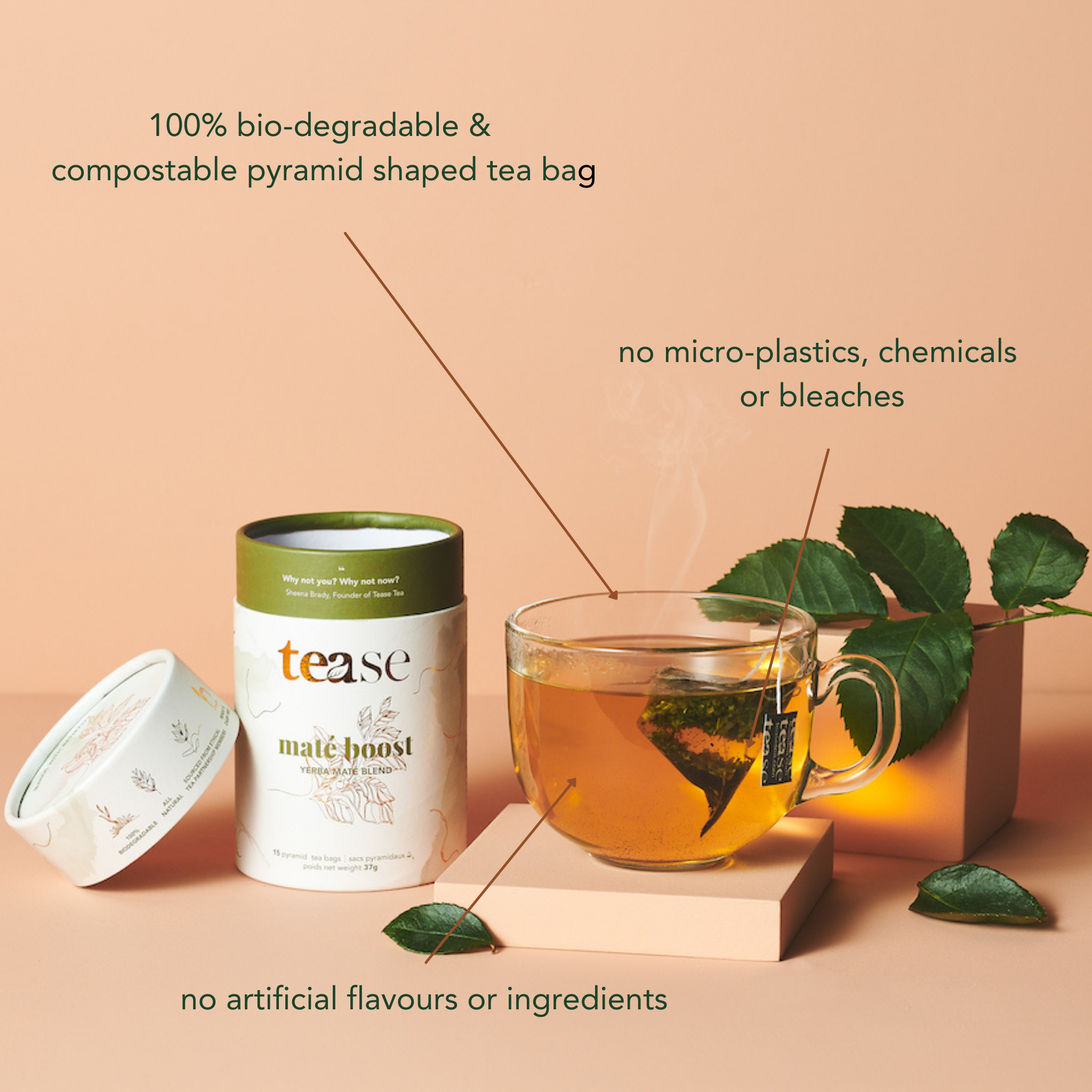 Midnight Mint | All Natural Biodegradable, Organic Tea Blend