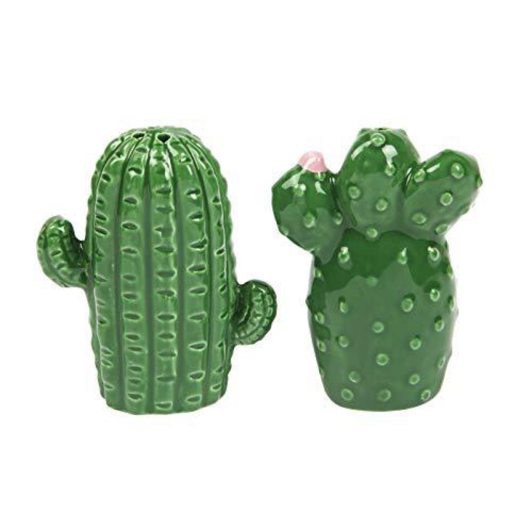 Sunnylife Decorative Ceramic Indoor/Outdoor Salt and Pepper Shaker Set - Cactus Green