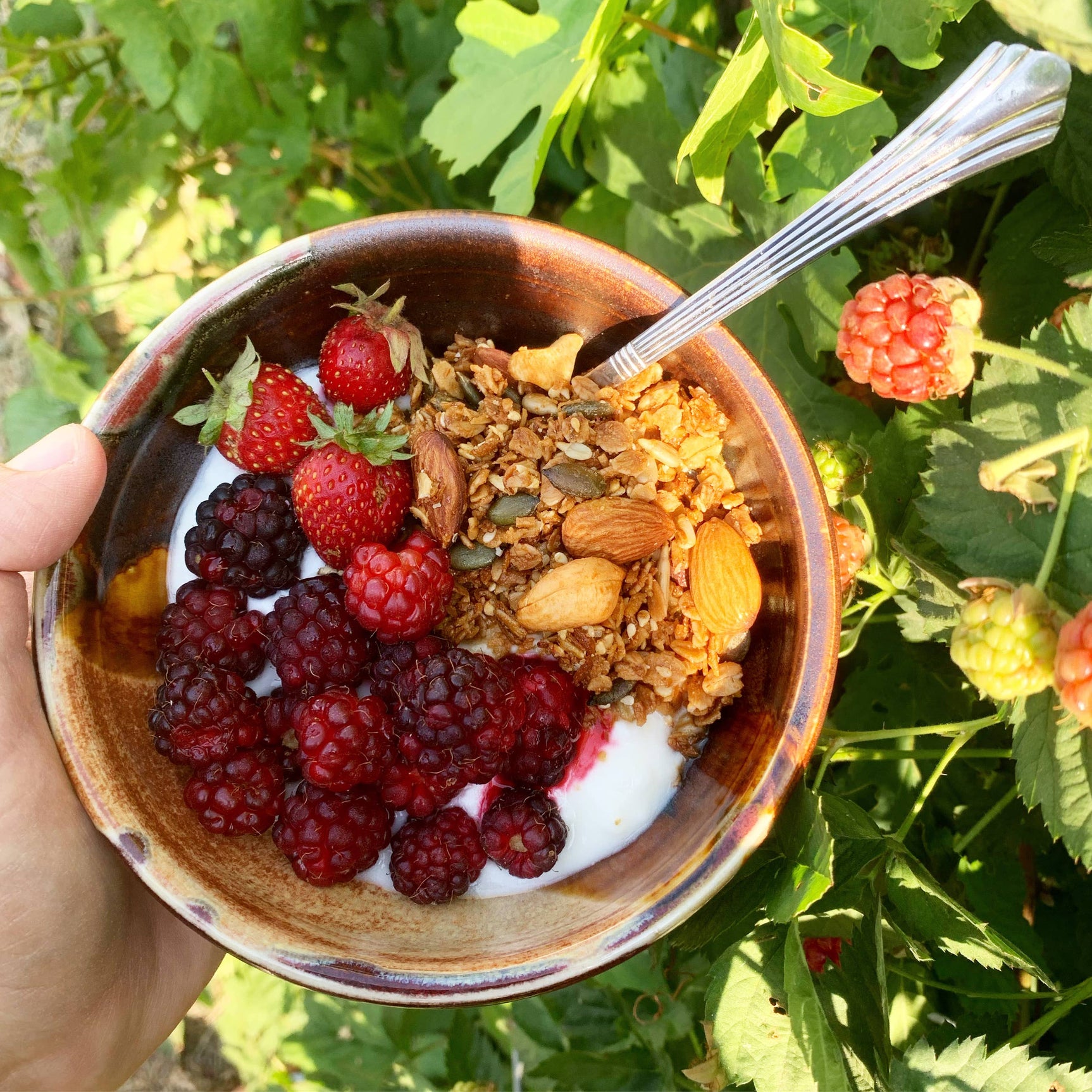Bearclaw Kitchen 2 oz Honey Run Granola - Image 3
