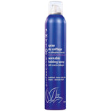 PHYTO workable holding spray