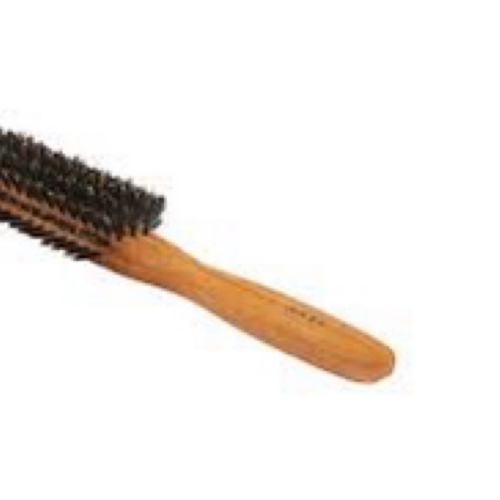 Bass Brushes Shine & Condition