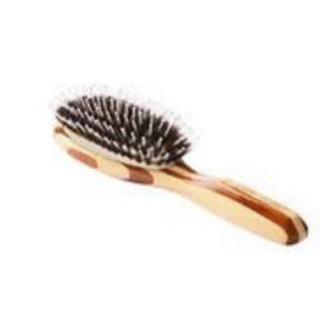 Bass Brushes Shine & Condition