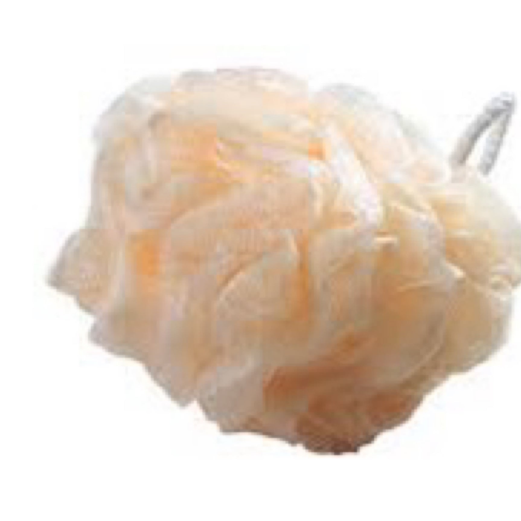 Bass Brushes Shower Flower