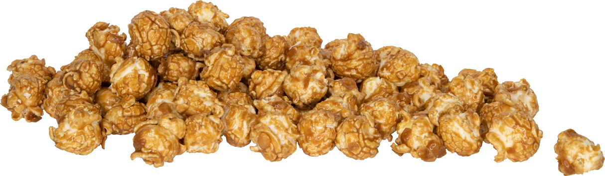 Mixed Case of Popcorn - "Sweet Singles" - 100 Count