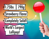 The World’s Largest Lollipop - Image 5