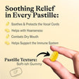 Grether's Sugarfree New Flavor Ginger Lemon Pastilles Remedy for Dry Mouth Relief