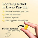 Grether's Sugarfree New Flavor Ginger Lemon Pastilles Remedy for Dry Mouth Relief