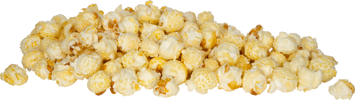 Mixed Case of Popcorn - "Sweet Singles" - 100 Count