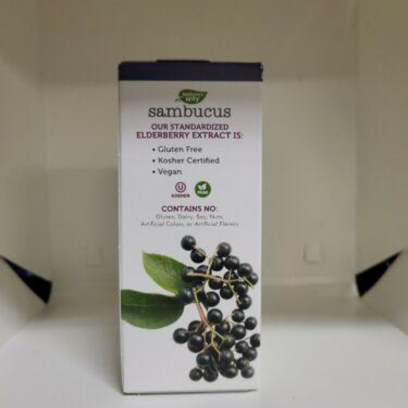 Natures Way Sambucus, Sugar-Free, Standardized Elderberry, Syrup