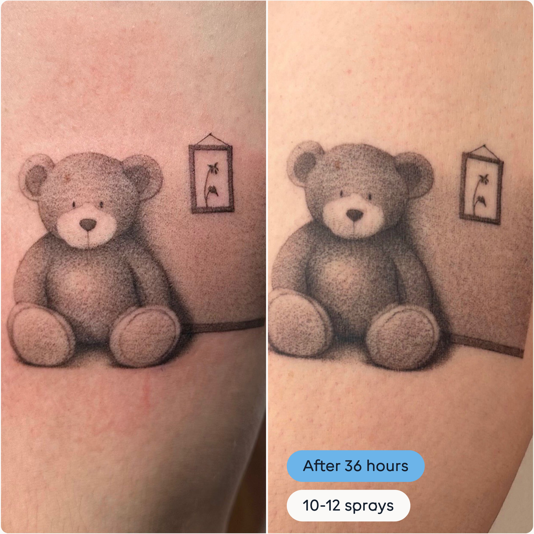 The Solution W/S: Standard