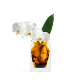 Henry Bud Vase | Tortoise