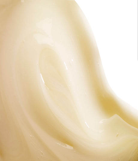 Leonor Greyl nourishing shampoo for long dry thick or frizzy hair - Image 3