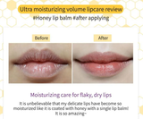 FRUIDA Hydrating Honey Lip Balm: Pomegranate Tinted Plumping