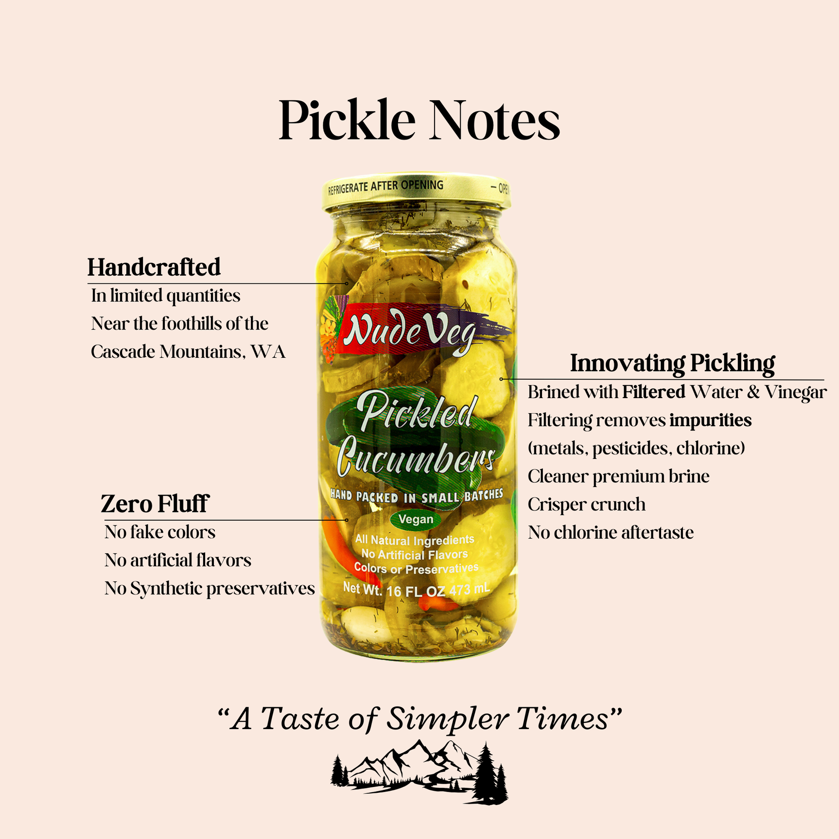 Pepinillos encurtidos artesanales con eneldo | Especias clásicas artesanales | 450 g