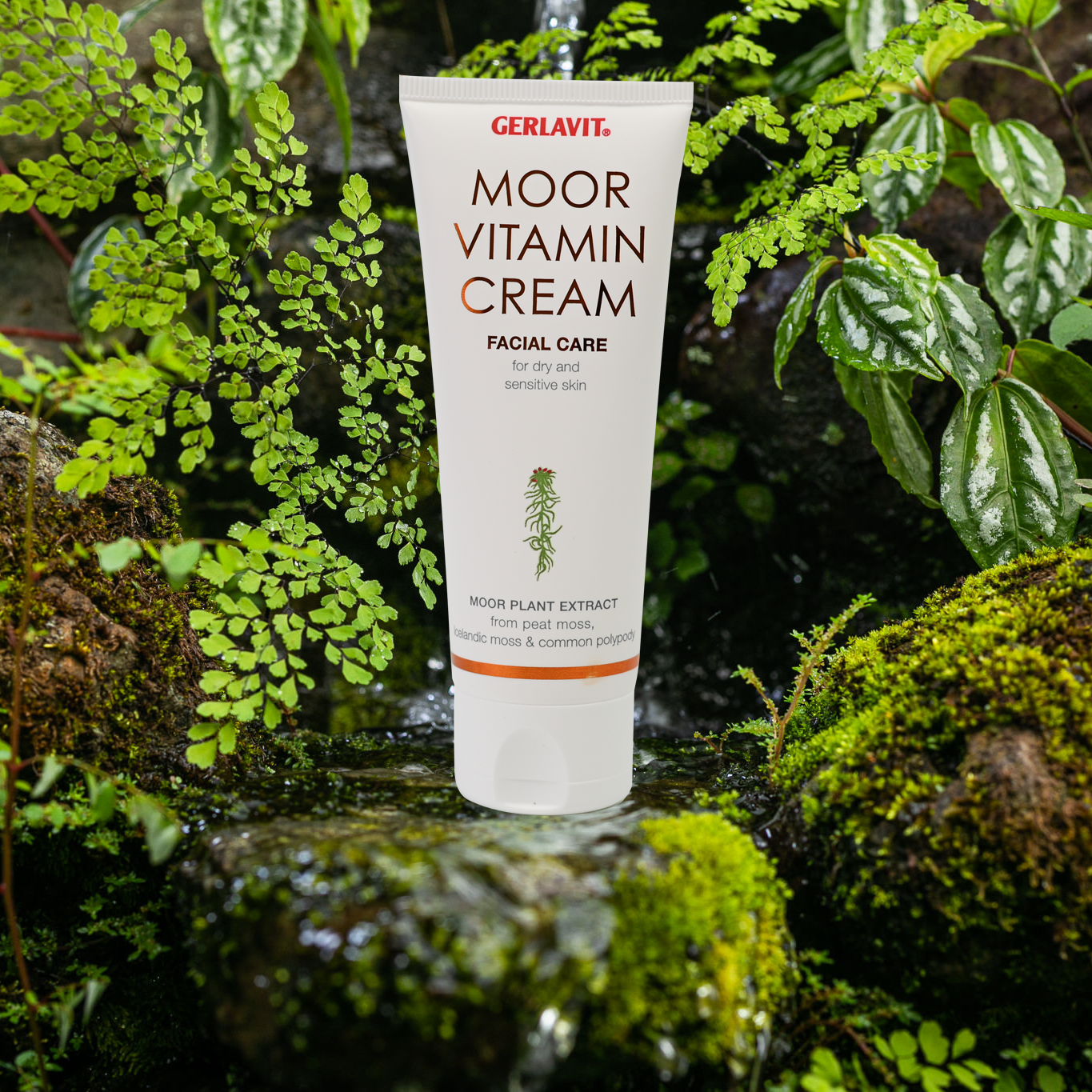 Moor Vitamin 24 Hr Face Cream, 2.6 Oz/75 Ml New* - Image 5