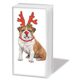 Paperproducts Design PPD 51585 Festive Xmas Bulldog Sniffs, 6-Packs of 10 Tissues Each