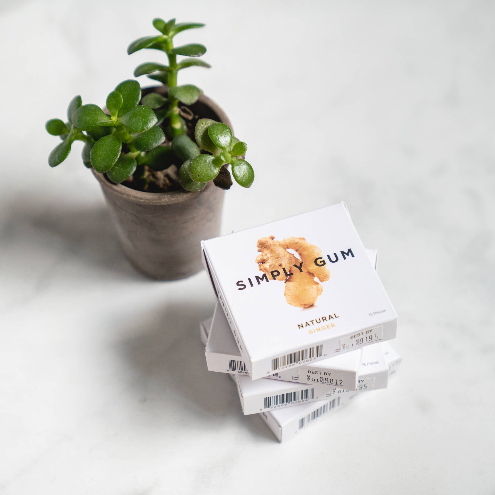Ginger Chewing Gum - Natural + Plastic-Free - Image 6