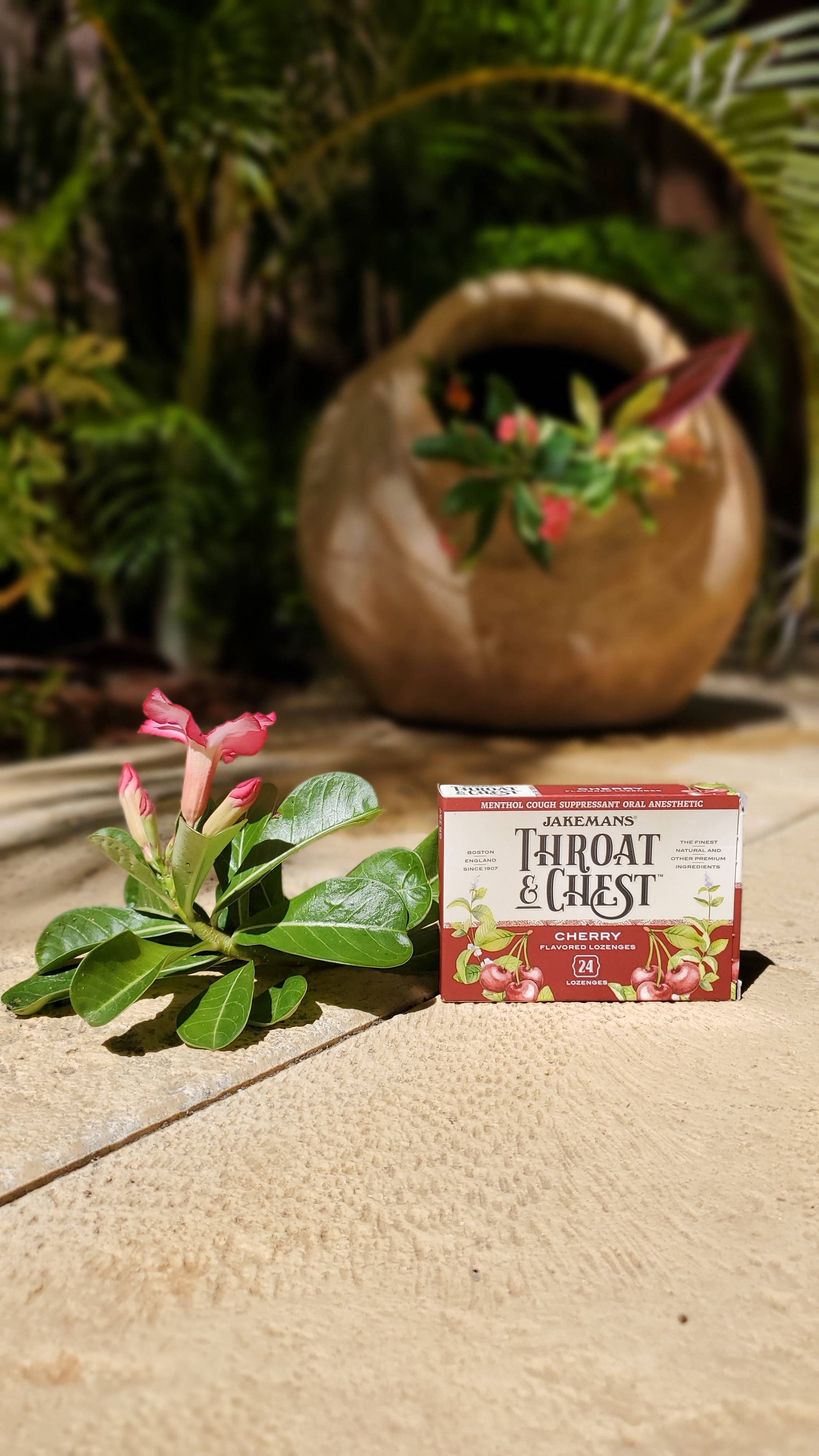 Jakemans Throat & Chest Cherry Lozenges Box - 24 Ct - Image 2