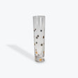 Zodax Centuri Golden Decal Star Champagne Glass