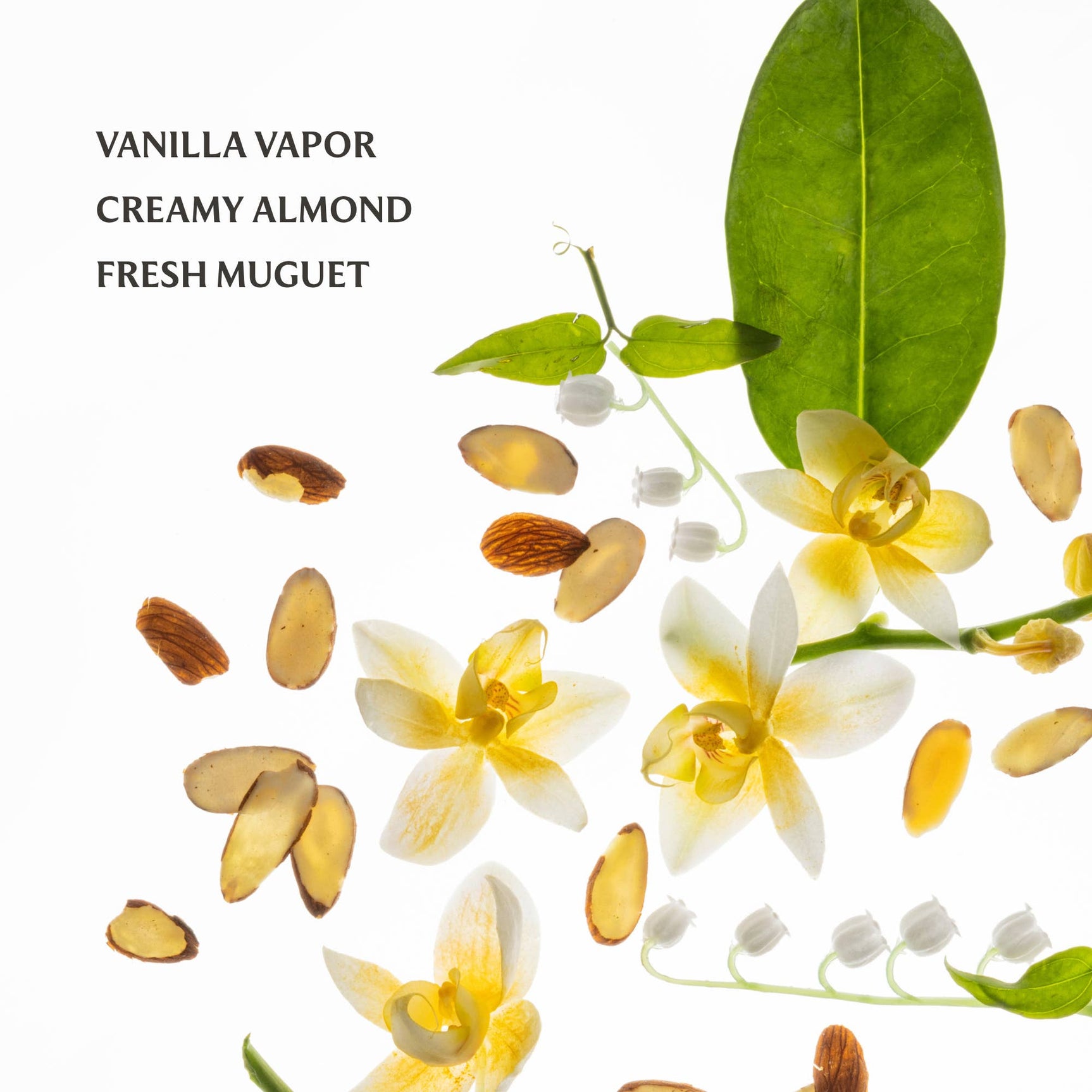 Touchland Vanilla Velvet Power Essence Body & Hair Fragrance Mist - Image 3