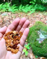 Bearclaw Kitchen 1.5 oz Coconut Grove Grain-Free Granola - Image 5