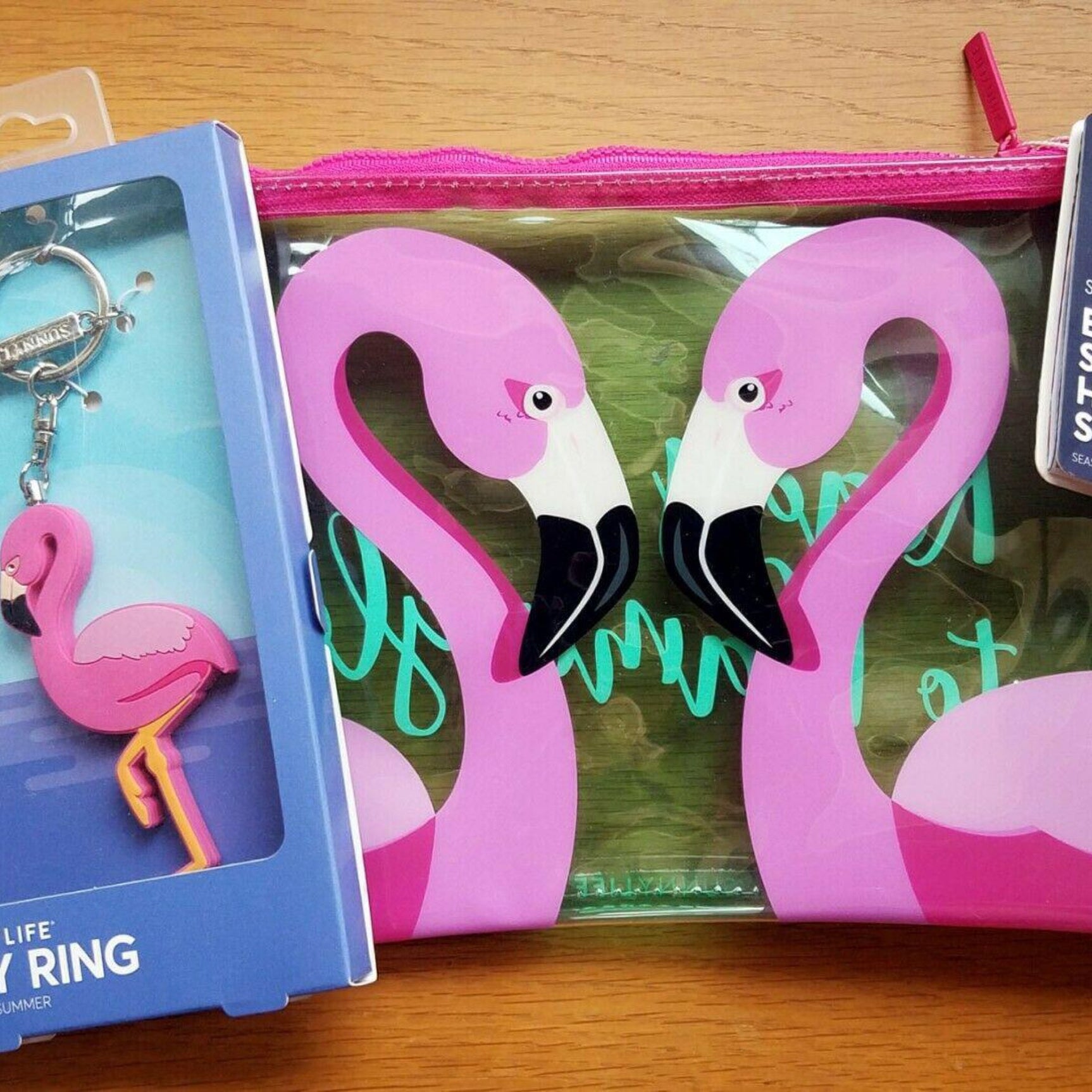 SunnyLIFE Women's See Thru Pouch Stardust