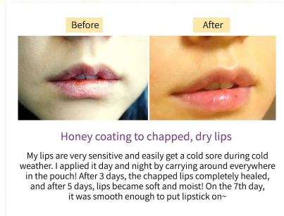 FRUIDA Hydrating Honey Lip Balm: Pomegranate Tinted Plumping