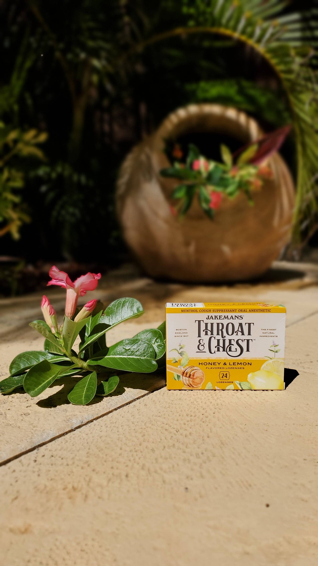 Jakemans Throat & Chest Honey Lemon Lozenges Box - 24 Ct