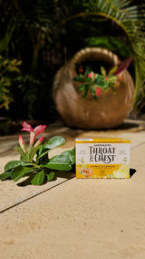 Jakemans Throat & Chest Honey Lemon Lozenges Box - 24 Ct